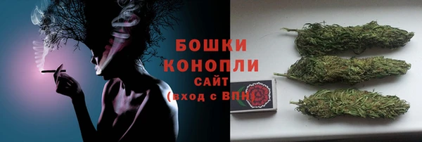 ГАЛЛЮЦИНОГЕННЫЕ ГРИБЫ Алзамай