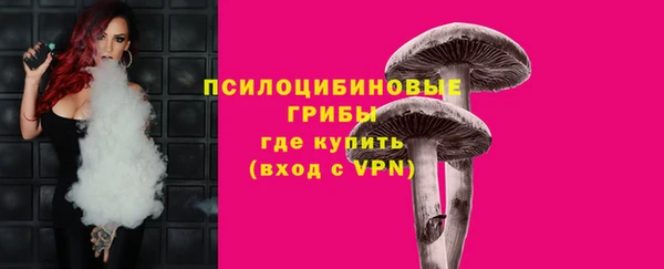 ГАЛЛЮЦИНОГЕННЫЕ ГРИБЫ Алзамай