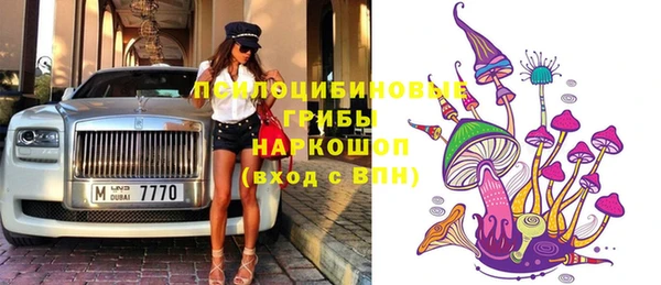ГАЛЛЮЦИНОГЕННЫЕ ГРИБЫ Алзамай