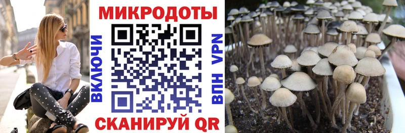 omg tor  Дзержинский  Галлюциногенные грибы MAGIC MUSHROOMS 
