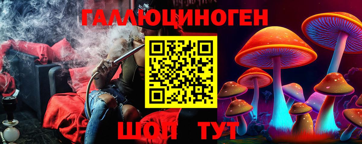 Псилоцибиновые грибы Cubensis Дзержинский