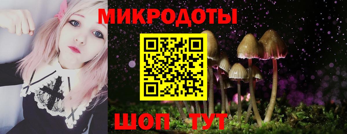 Галлюциногенные грибы Psilocybine cubensis  Вход с VPN  Дзержинский  Галлюциногенные грибы прущие грибы 